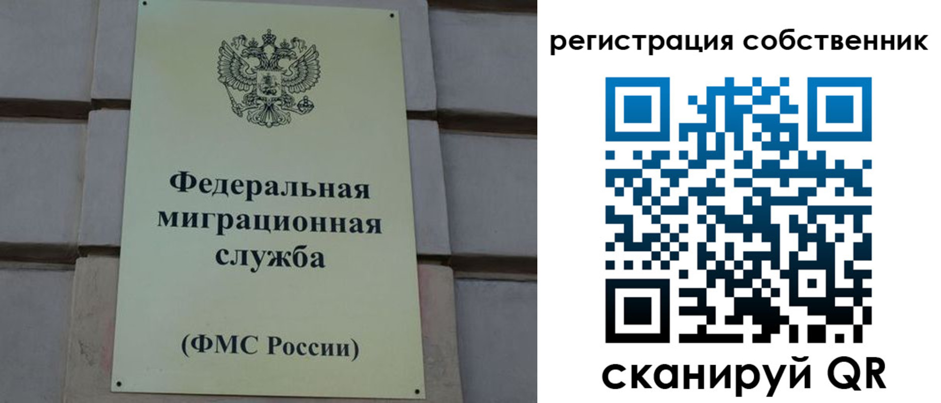 прописка гарантия в Видном